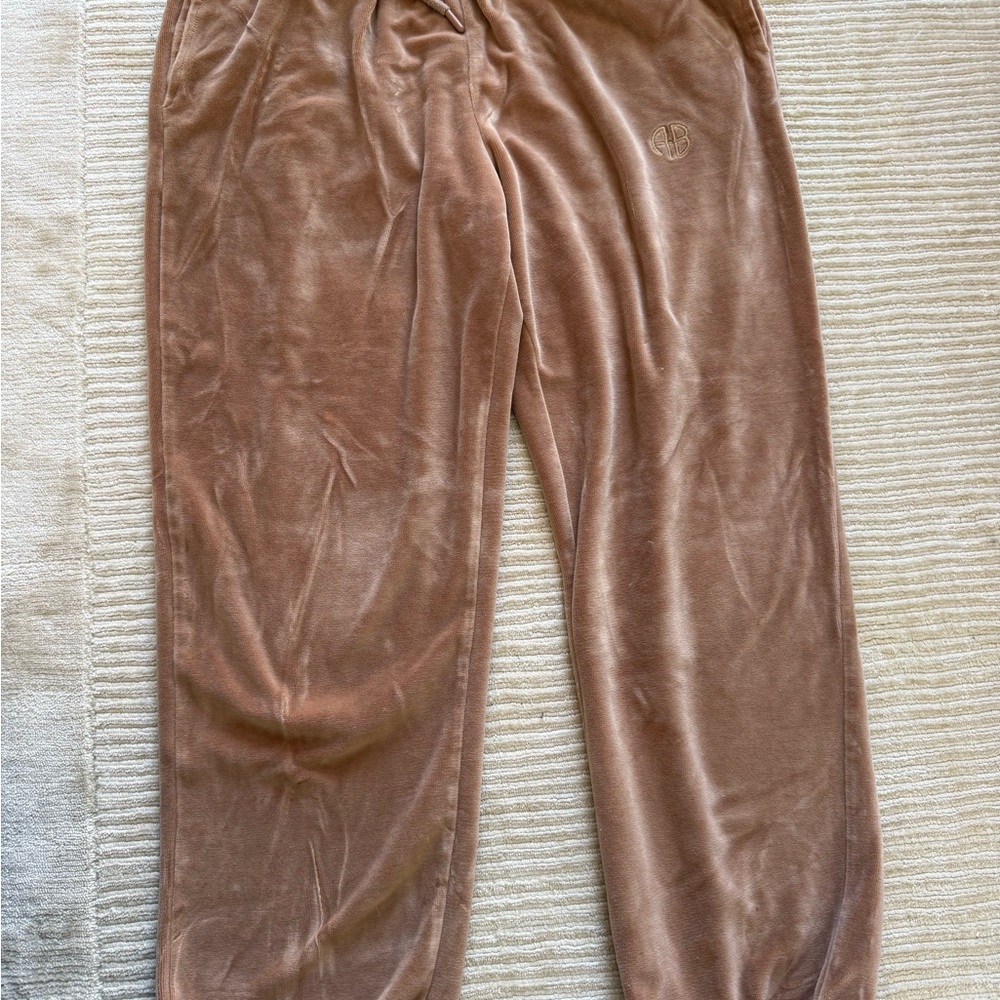 Anine Bing Sport Tan Velour Sweatshirt and Joggers - Picture 3 of 3